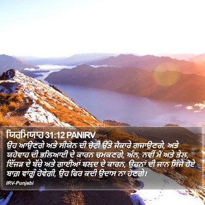 ਯਿਰਮਿਯਾਹ 31:12 PANIRV Bible Verse Image
