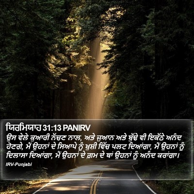ਯਿਰਮਿਯਾਹ 31:13 PANIRV Bible Verse Image