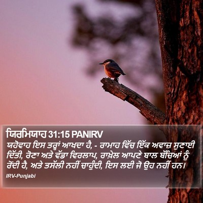 ਯਿਰਮਿਯਾਹ 31:15 PANIRV Bible Verse Image