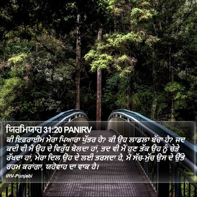 ਯਿਰਮਿਯਾਹ 31:20 PANIRV Bible Verse Image