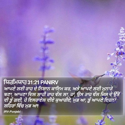 ਯਿਰਮਿਯਾਹ 31:21 PANIRV Bible Verse Image