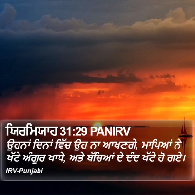ਯਿਰਮਿਯਾਹ 31:29 PANIRV Bible Verse Image