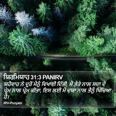 ਯਿਰਮਿਯਾਹ 31:3 PANIRV Bible Verse Image