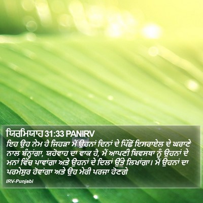 ਯਿਰਮਿਯਾਹ 31:33 PANIRV Bible Verse Image