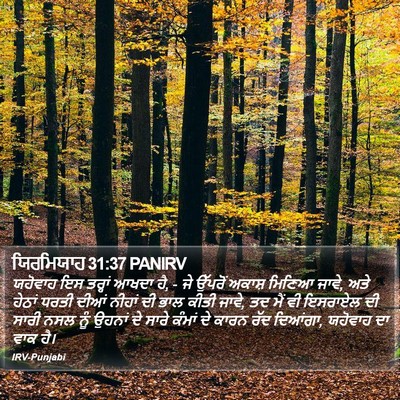 ਯਿਰਮਿਯਾਹ 31:37 PANIRV Bible Verse Image