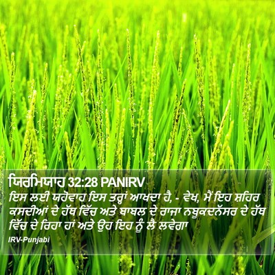 ਯਿਰਮਿਯਾਹ 32:28 PANIRV Bible Verse Image