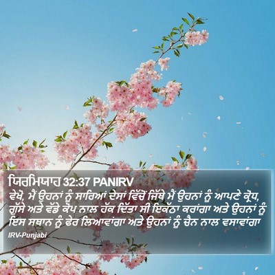 ਯਿਰਮਿਯਾਹ 32:37 PANIRV Bible Verse Image