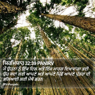 ਯਿਰਮਿਯਾਹ 32:39 PANIRV Bible Verse Image