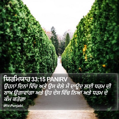 ਯਿਰਮਿਯਾਹ 33:15 PANIRV Bible Verse Image