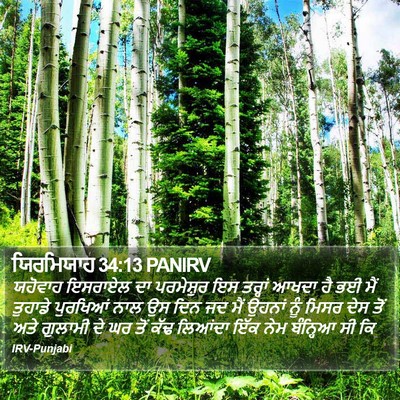 ਯਿਰਮਿਯਾਹ 34:13 PANIRV Bible Verse Image