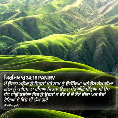 ਯਿਰਮਿਯਾਹ 34:18 PANIRV Bible Verse Image
