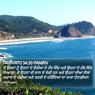 ਯਿਰਮਿਯਾਹ 34:20 PANIRV Bible Verse Image