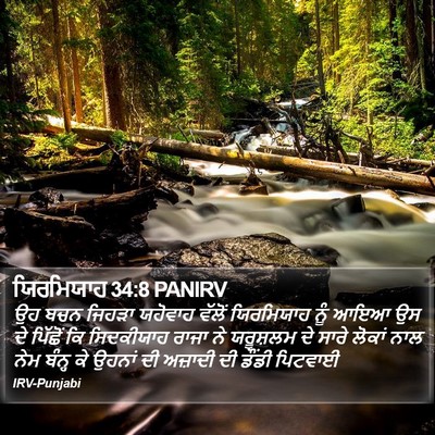 ਯਿਰਮਿਯਾਹ 34:8 PANIRV Bible Verse Image
