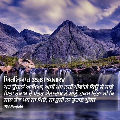 ਯਿਰਮਿਯਾਹ 35:6 PANIRV Bible Verse Image