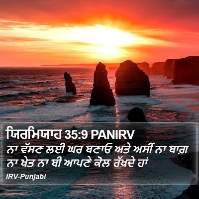 ਯਿਰਮਿਯਾਹ 35:9 PANIRV Bible Verse Image
