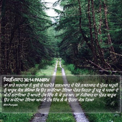 ਯਿਰਮਿਯਾਹ 36:14 PANIRV Bible Verse Image