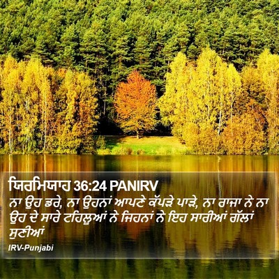 ਯਿਰਮਿਯਾਹ 36:24 PANIRV Bible Verse Image