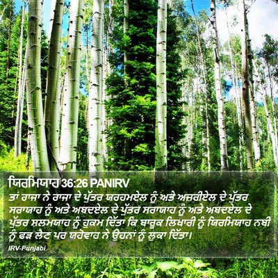 ਯਿਰਮਿਯਾਹ 36:26 PANIRV Bible Verse Image