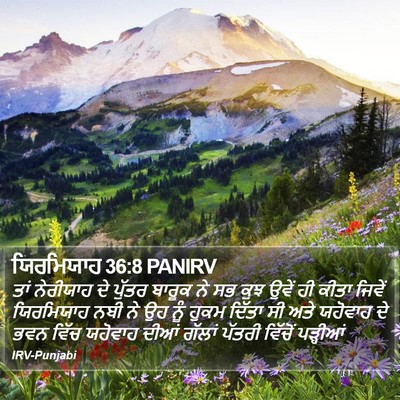 ਯਿਰਮਿਯਾਹ 36:8 PANIRV Bible Verse Image