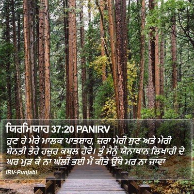 ਯਿਰਮਿਯਾਹ 37:20 PANIRV Bible Verse Image