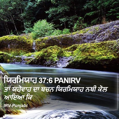 ਯਿਰਮਿਯਾਹ 37:6 PANIRV Bible Verse Image