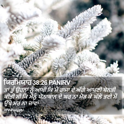 ਯਿਰਮਿਯਾਹ 38:26 PANIRV Bible Verse Image
