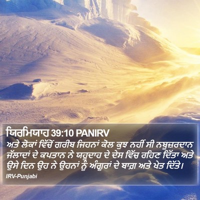 ਯਿਰਮਿਯਾਹ 39:10 PANIRV Bible Verse Image