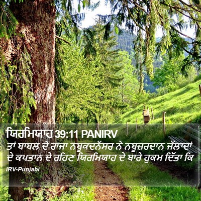 ਯਿਰਮਿਯਾਹ 39:11 PANIRV Bible Verse Image