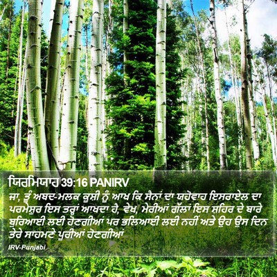 ਯਿਰਮਿਯਾਹ 39:16 PANIRV Bible Verse Image