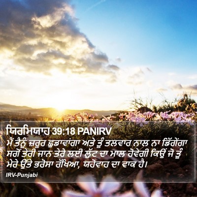 ਯਿਰਮਿਯਾਹ 39:18 PANIRV Bible Verse Image