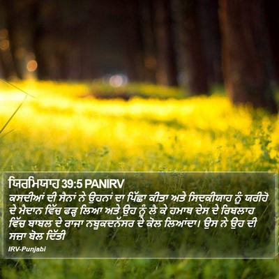 ਯਿਰਮਿਯਾਹ 39:5 PANIRV Bible Verse Image