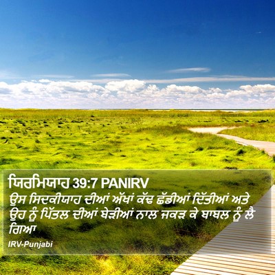 ਯਿਰਮਿਯਾਹ 39:7 PANIRV Bible Verse Image