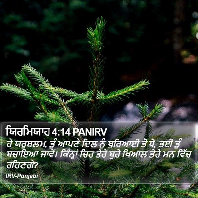 ਯਿਰਮਿਯਾਹ 4:14 PANIRV Bible Verse Image