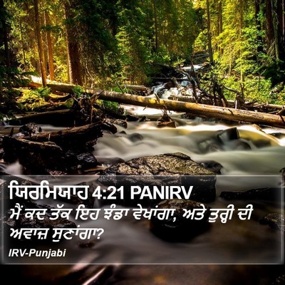 ਯਿਰਮਿਯਾਹ 4:21 PANIRV Bible Verse Image