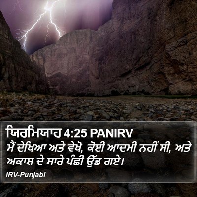 ਯਿਰਮਿਯਾਹ 4:25 PANIRV Bible Verse Image