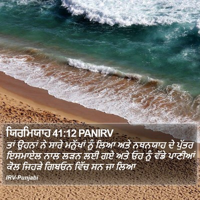 ਯਿਰਮਿਯਾਹ 41:12 PANIRV Bible Verse Image