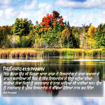 ਯਿਰਮਿਯਾਹ 41:9 PANIRV Bible Verse Image