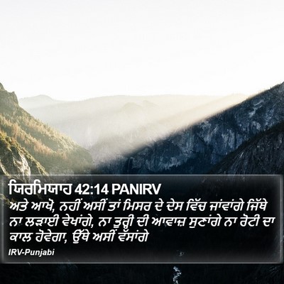 ਯਿਰਮਿਯਾਹ 42:14 PANIRV Bible Verse Image