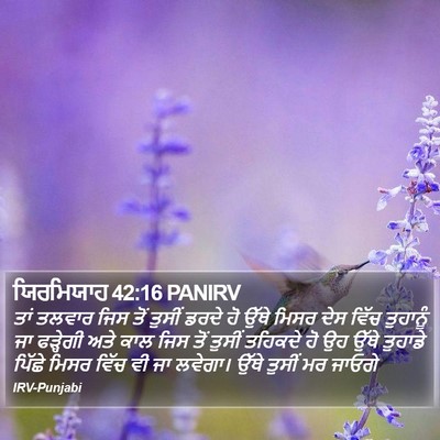 ਯਿਰਮਿਯਾਹ 42:16 PANIRV Bible Verse Image