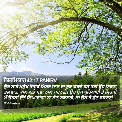 ਯਿਰਮਿਯਾਹ 42:17 PANIRV Bible Verse Image