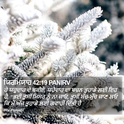 ਯਿਰਮਿਯਾਹ 42:19 PANIRV Bible Verse Image