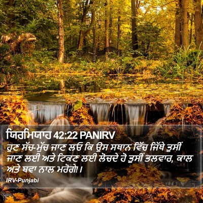 ਯਿਰਮਿਯਾਹ 42:22 PANIRV Bible Verse Image