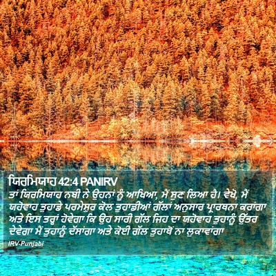 ਯਿਰਮਿਯਾਹ 42:4 PANIRV Bible Verse Image