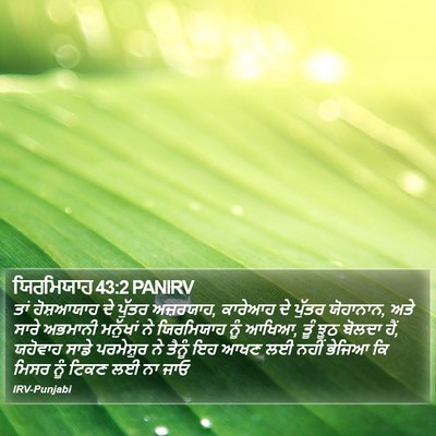 ਯਿਰਮਿਯਾਹ 43:2 PANIRV Bible Verse Image
