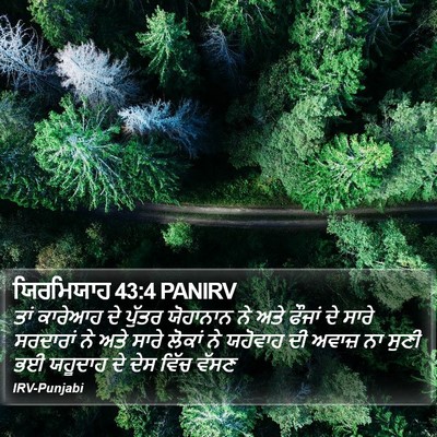 ਯਿਰਮਿਯਾਹ 43:4 PANIRV Bible Verse Image