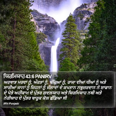 ਯਿਰਮਿਯਾਹ 43:6 PANIRV Bible Verse Image