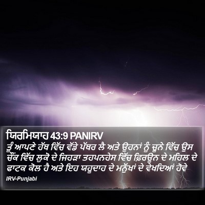 ਯਿਰਮਿਯਾਹ 43:9 PANIRV Bible Verse Image