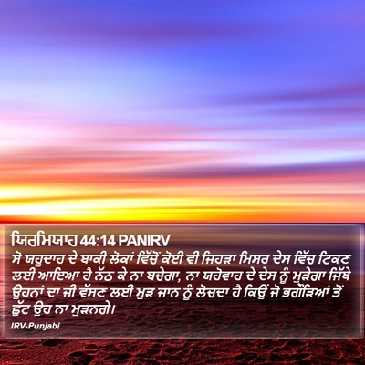 ਯਿਰਮਿਯਾਹ 44:14 PANIRV Bible Verse Image