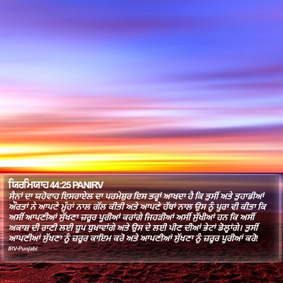 ਯਿਰਮਿਯਾਹ 44:25 PANIRV Bible Verse Image