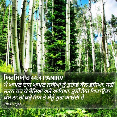 ਯਿਰਮਿਯਾਹ 44:4 PANIRV Bible Verse Image